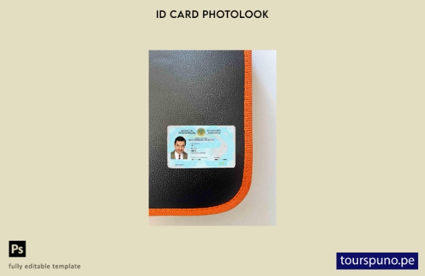 Plantilla FRONTAL lista para imprimir con aspecto fotográfico de identificaci 13